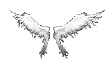Wings of Heaven